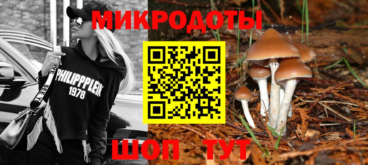 Галлюциногенные грибы GOLDEN TEACHER  Вход с VPN  Волжск  Псилоцибиновые грибы Psilocybe 